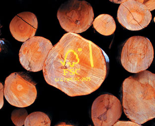 Holz aus FSC bewirtschafteten Quellen