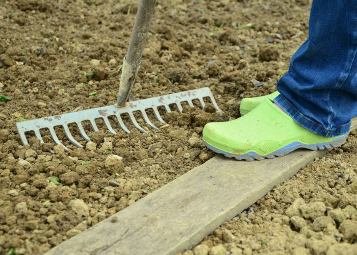 Die 6 häufigsten Fehler beim Gärtnern