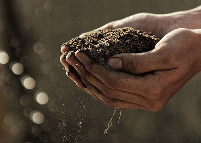 Kompostieren zu jeder Jahreszeit