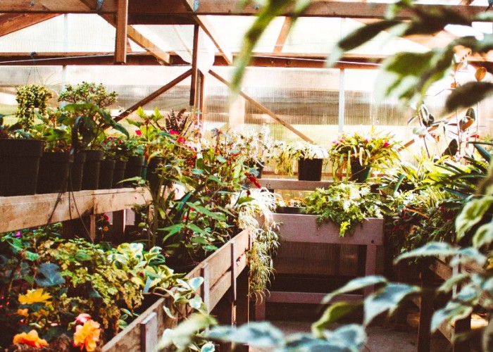 Sonnenschutz für das Gewächshaus