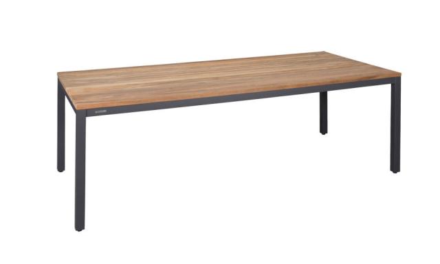 Zebra Bee Alu-Teak-Tisch 160x90xH:74cm anth #1