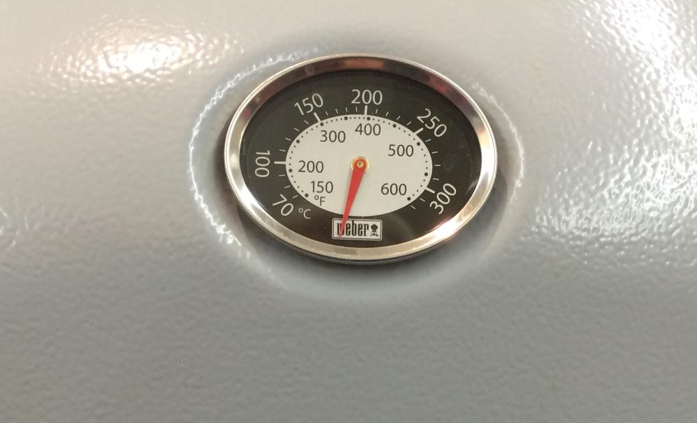 er Thermometer Q 3000 Serie Peter Süße