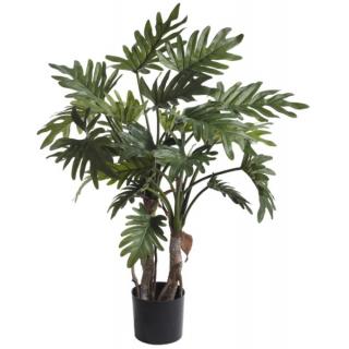 Fiebiger Philodendron Selloum im Topf 76cm