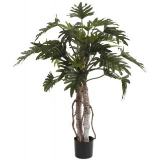 Fiebiger Philodendron Selloum im Topf 108cm